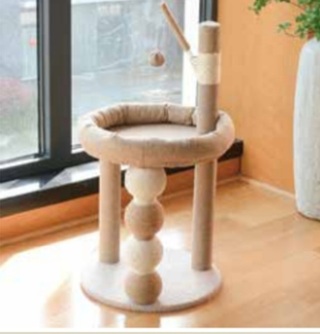 Krabpaal kat / kitten, 2025